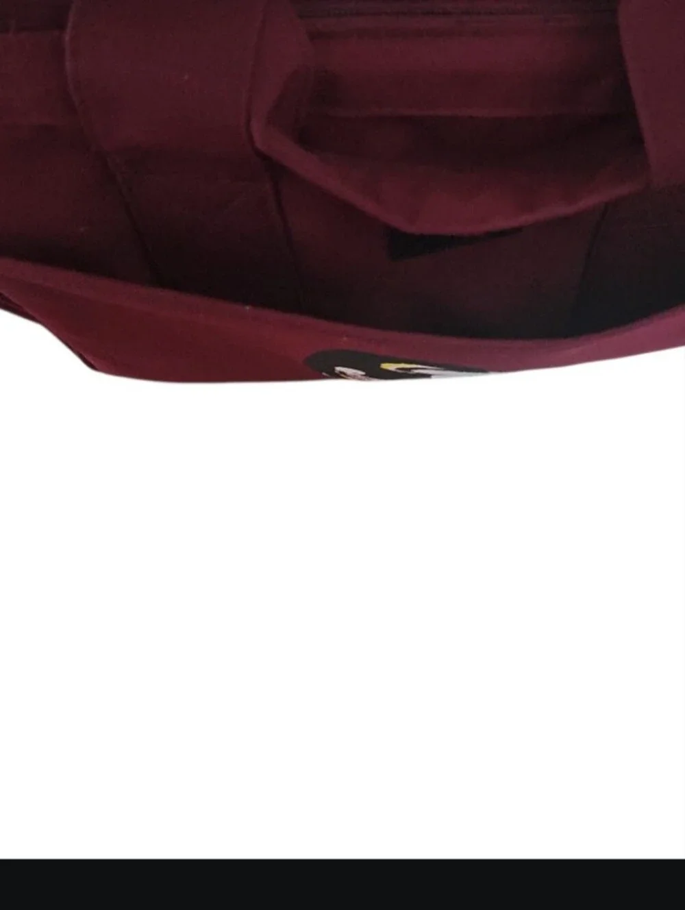 Florida State Seminoles Insulated Cooler Bag Garnet FSU Tailgate Lunch Tote